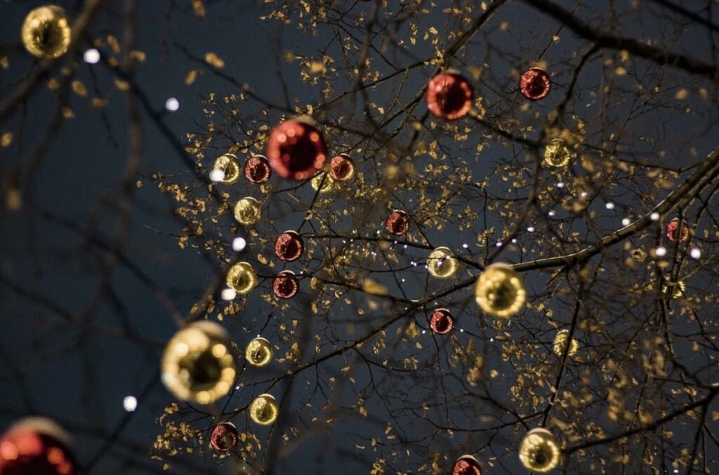 A tree full of Christmas lights and ornaments