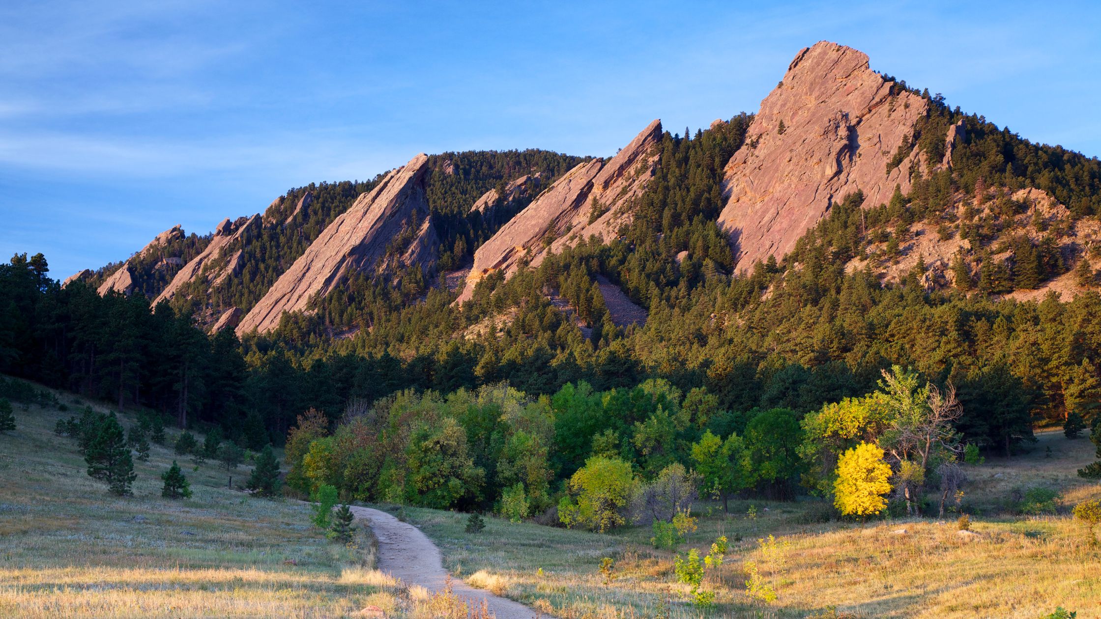 Warm light illuminates the iconic Boulder Flatirons mountains, a green forest, and a