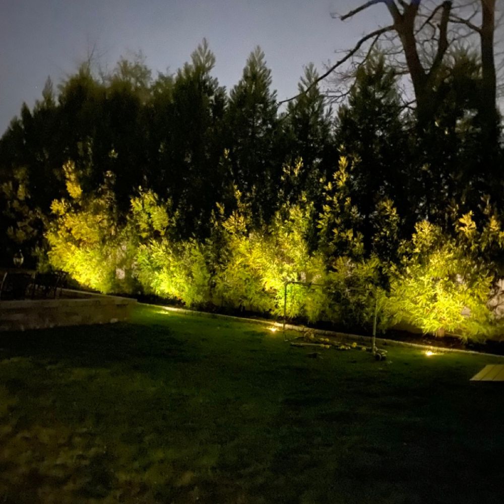 Perimiter up-lighting as part of a landscape lighting residential job in Long Island.