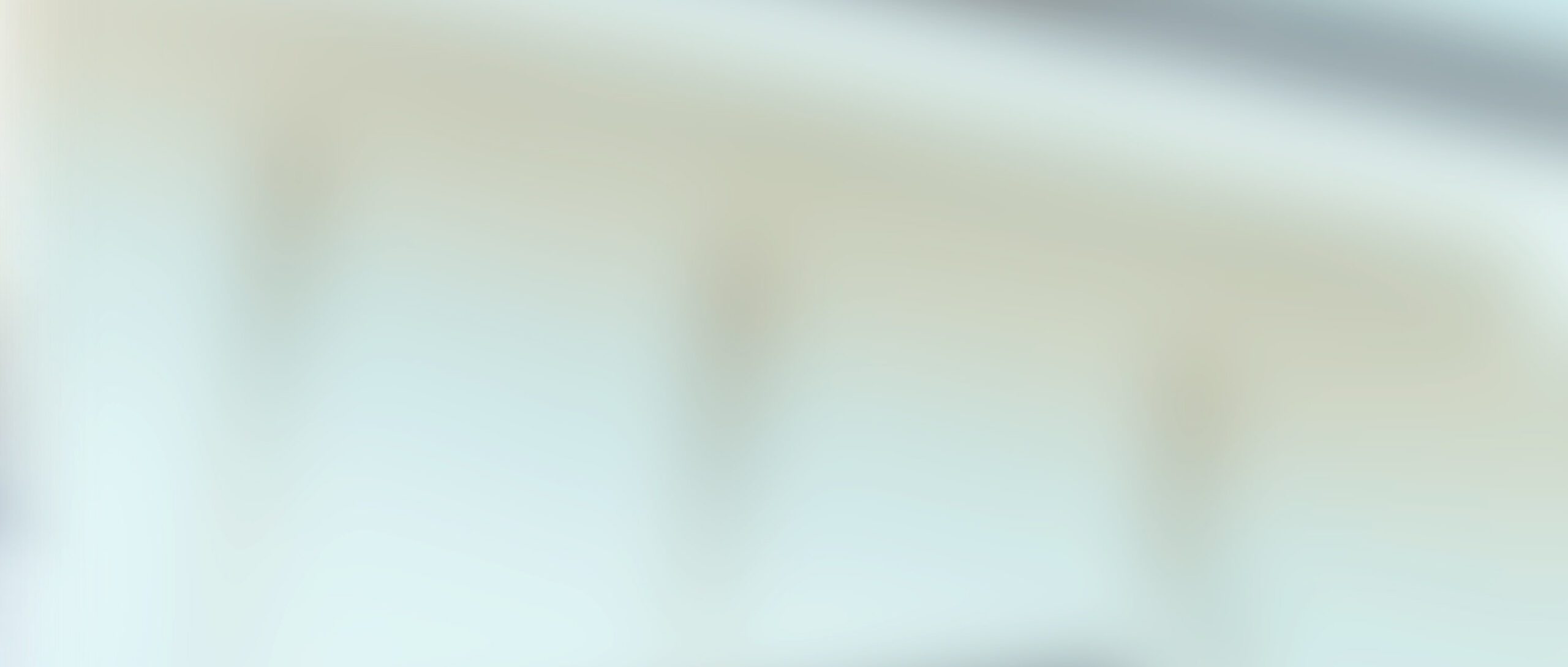 Softly blurred background with light blue and beige color transitions and faint, indistinct shapes.