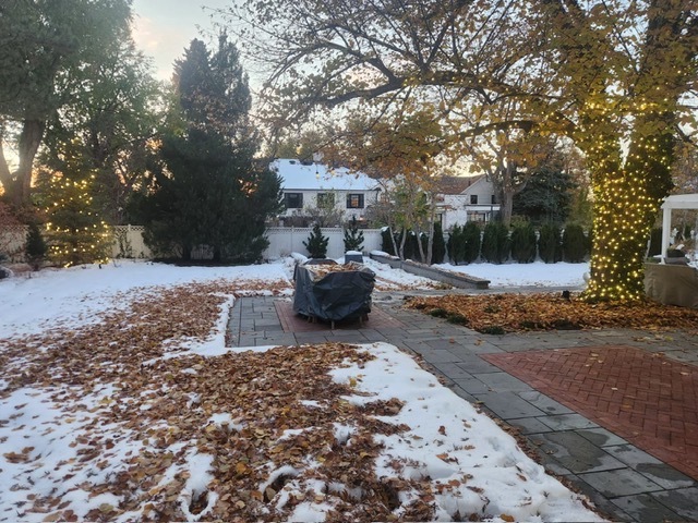 A yard covered in snow and fallen leaves, with trees illuminated by warm string lights. TITLE
