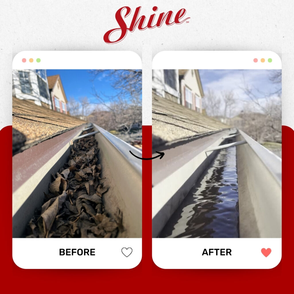Before & After Gutter Cleaning