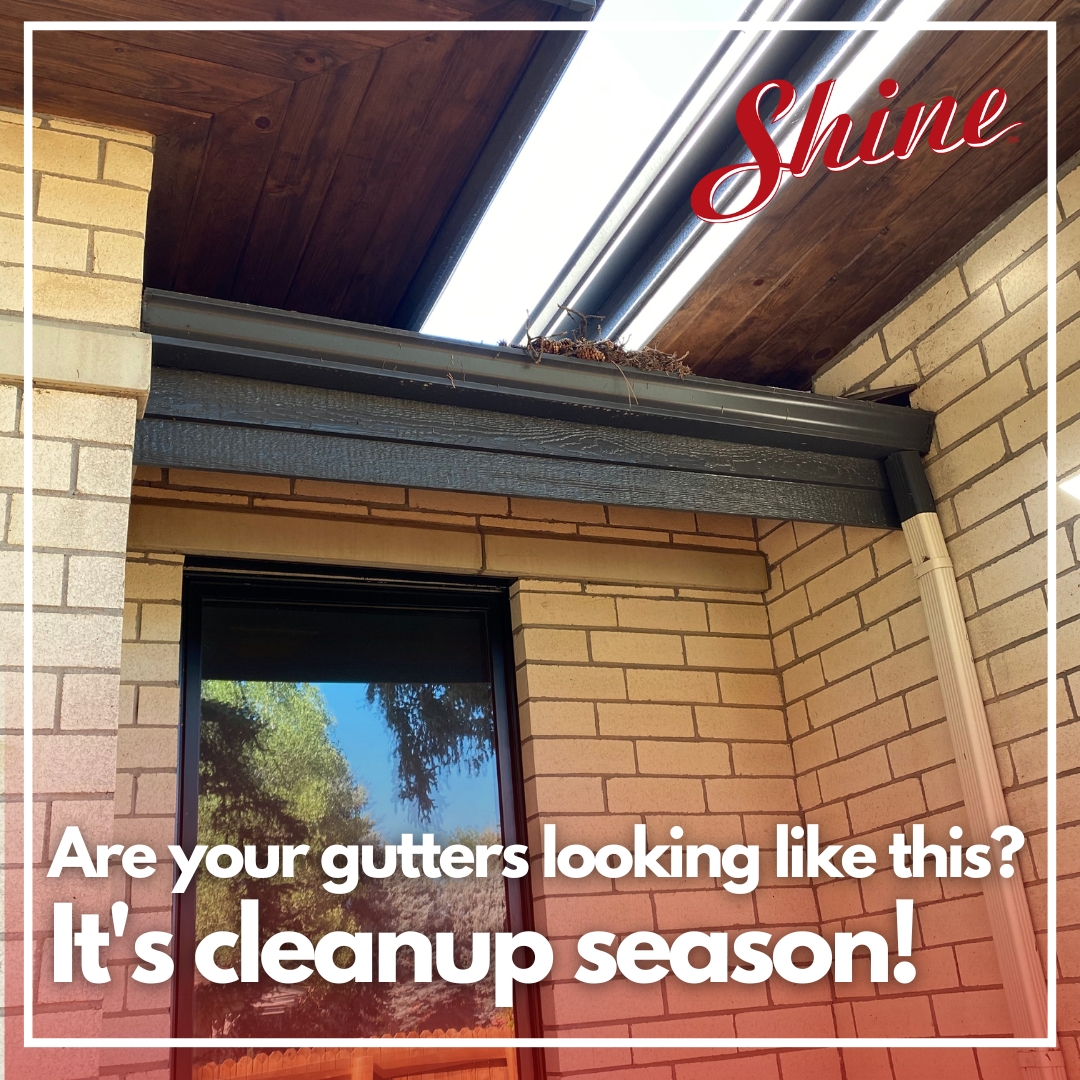 Dirty gutters on a brick house are overflowing with leaves and debris, signaling cleanup season. TITLE