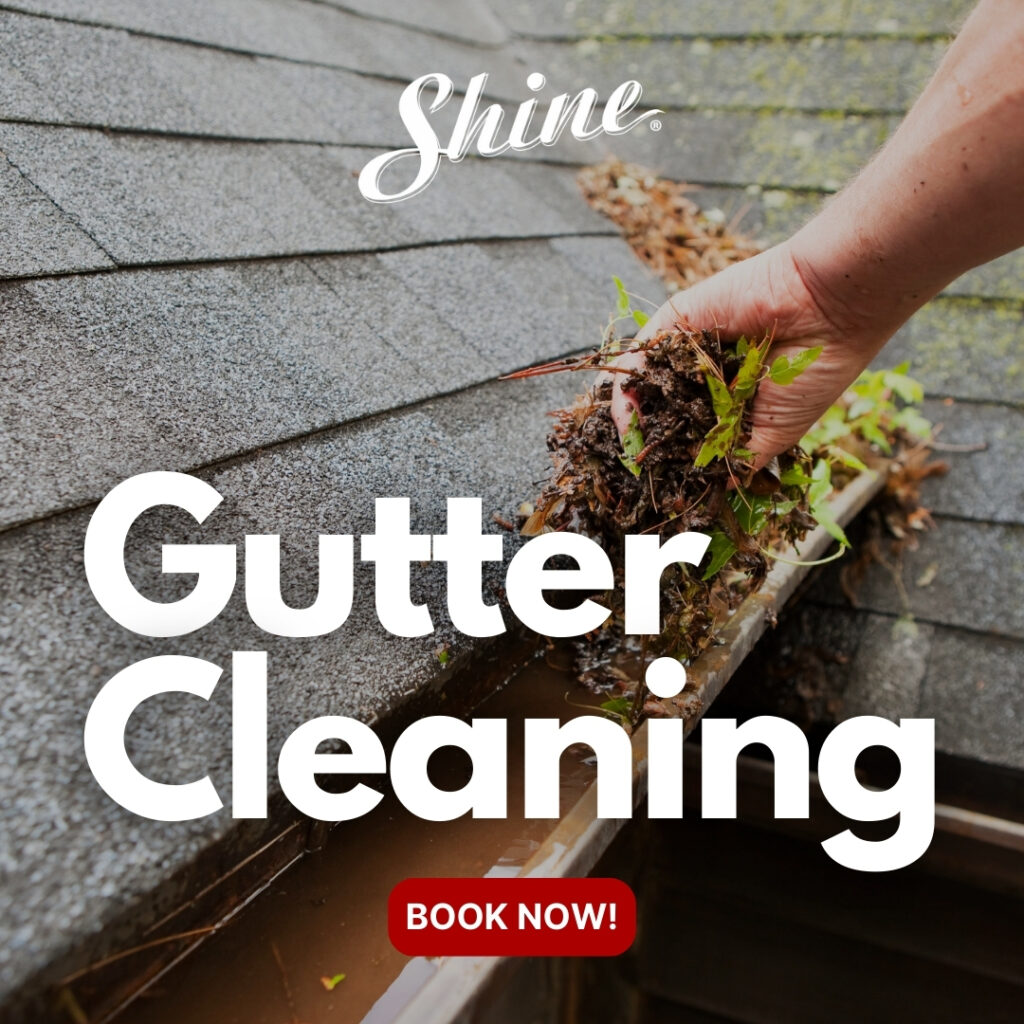 gutter cleaning graphic text