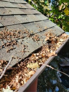 Tree leaf litter on a shingles and filling a gutter