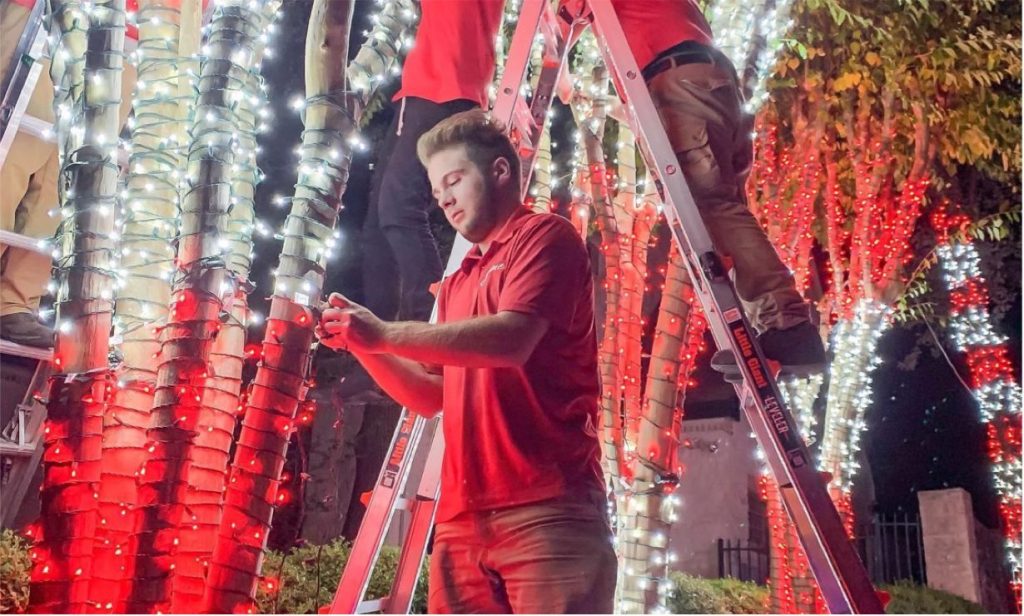 Workers decorate palm trees with red and white string lights for a festive display. TITLE: