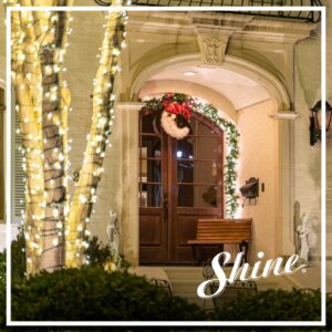 Shine of Denver Lights