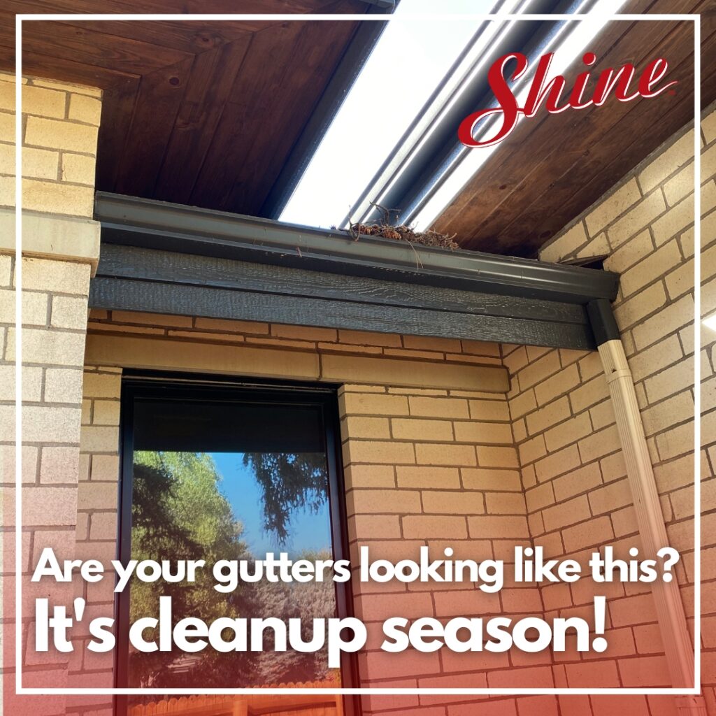 Gutter Cleanup Season