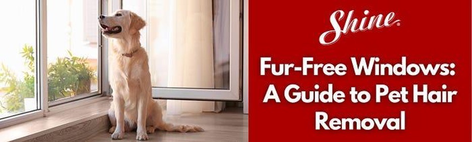 A golden retriever dog sits by a window next to a red panel titled "Fur-Free Windows: A Guide to Pet Hair Removal.
