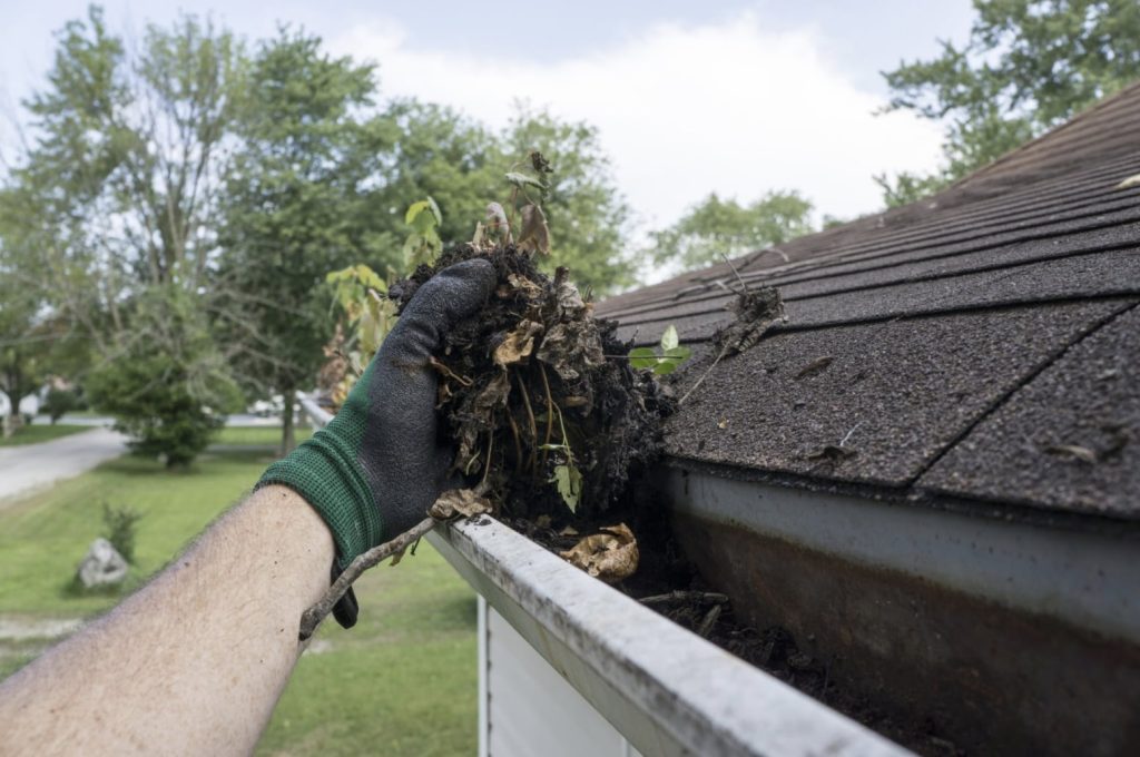 Gloved hand pulls wet leaves and debris from a dirty house gutter. TITLE: