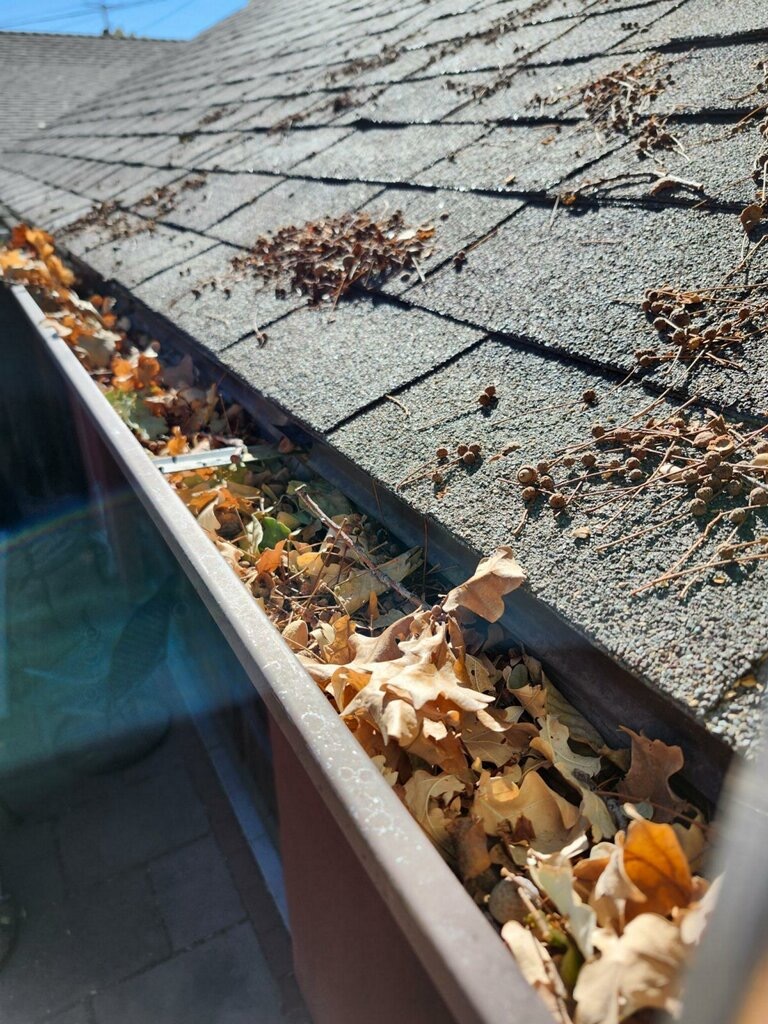 A clogged roof gutter overflows with dry autumn leaves and debris on a sunny day.