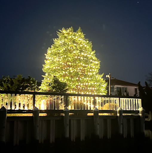 Shine of Long Island holiday lighting in Lido Beach area