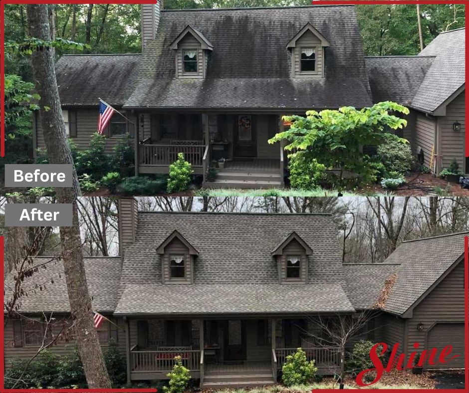 roof washing before and after