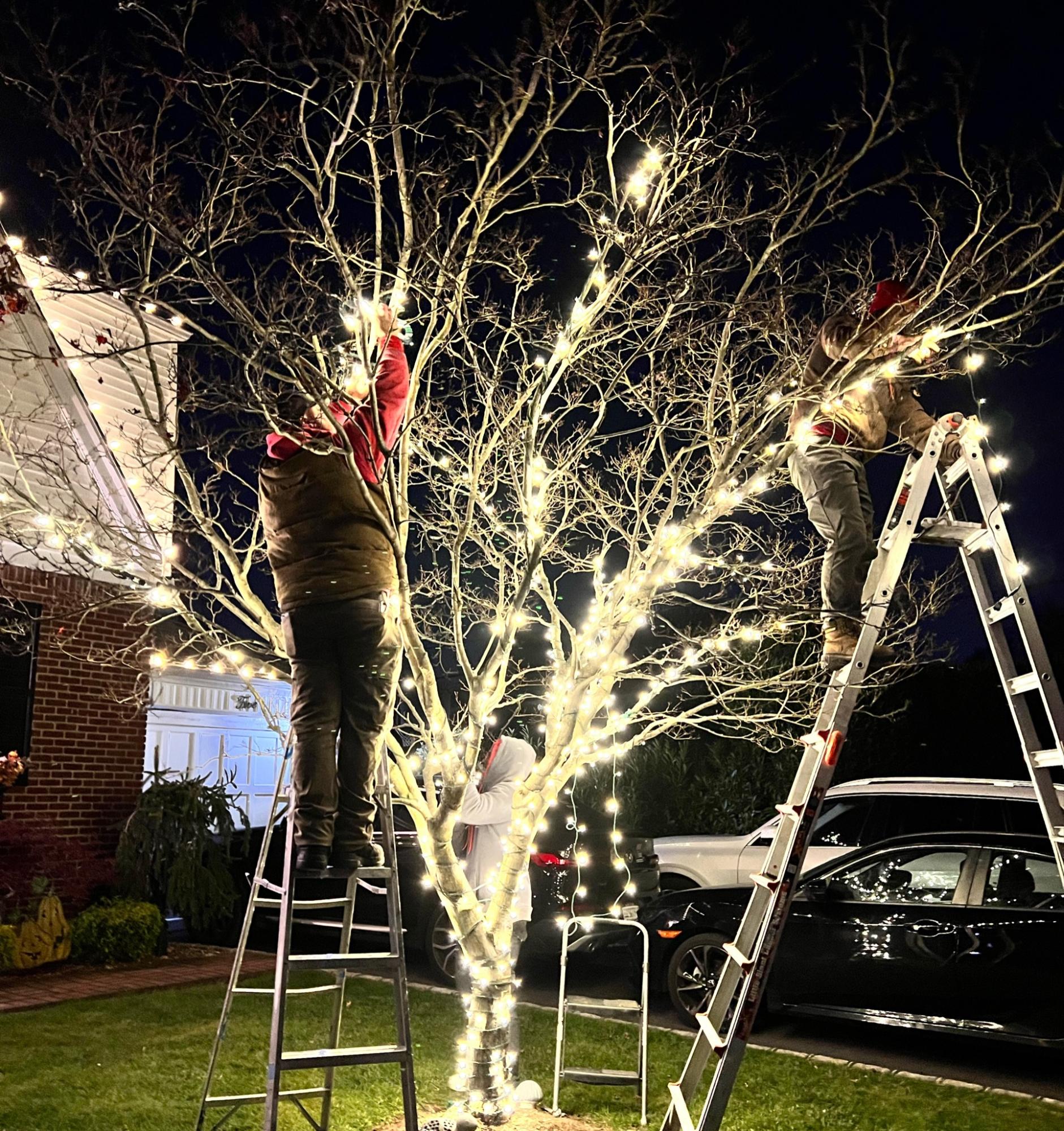 Three people decorate a bare tree with bright white string lights at night. TITLE: