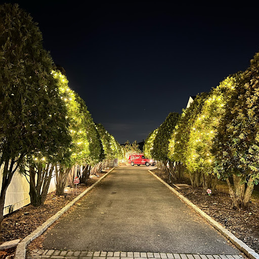 Shine of Long Island holiday lighting street lighting in Lido Beach area
