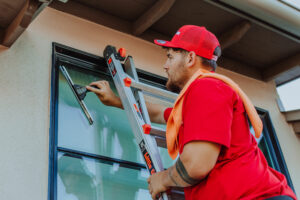Professional Window Cleaning