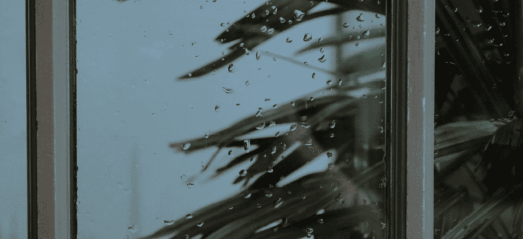Raindrops cling to a window pane, blurring green leaves outside on a cool day.