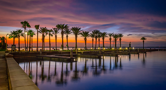 A row of palm trees and boat docks reflect a dramatic orange and purple sunset on calm water. TITLE: