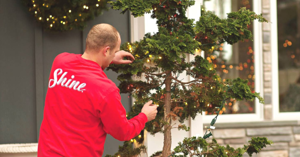 A man in a red 'Shine' shirt decorates an outdoor evergreen tree with festive