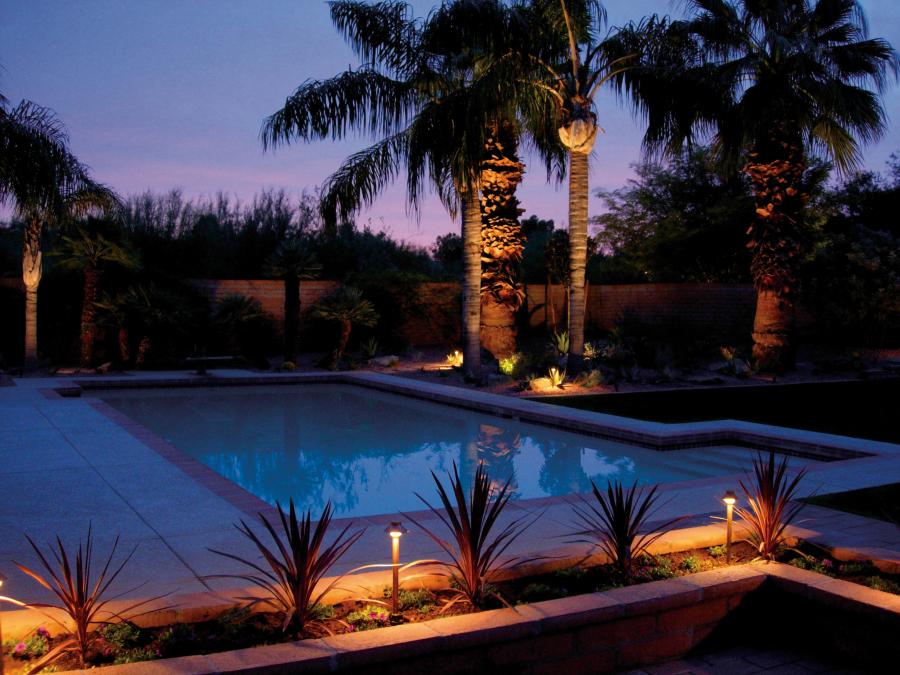 An inviting swimming pool and palm trees are warmly lit at dusk by landscape lighting.
