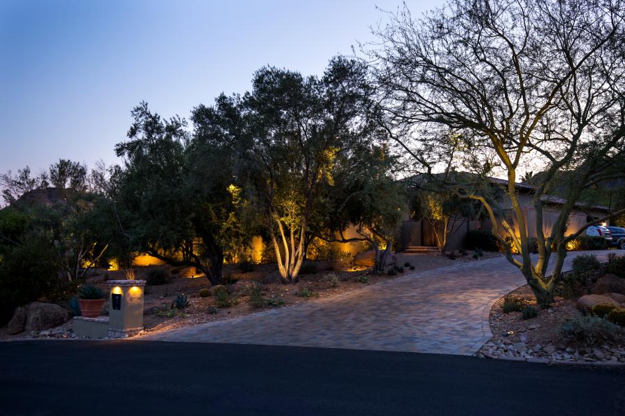 Driveway and garden with tree uplighting