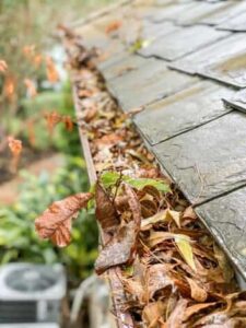 gutter cleaning