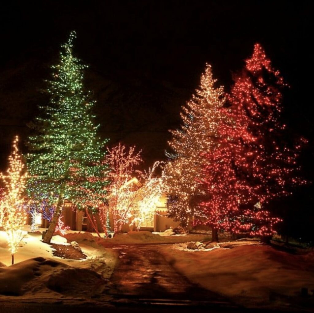 decorated trees