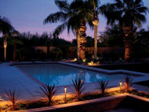 Palm trees illuminated over a pool