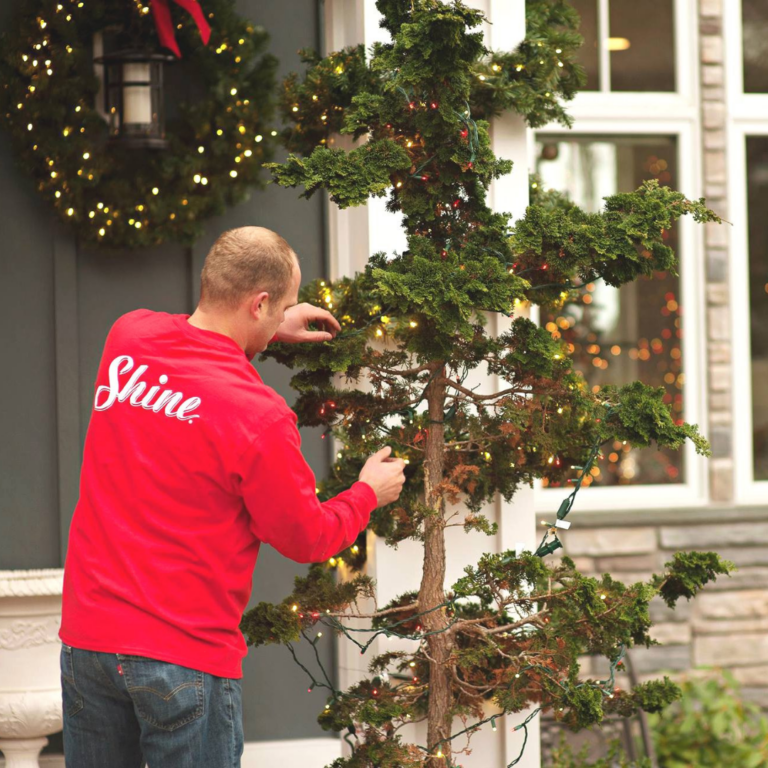 Shine team member installing holiday lighting on a tree.