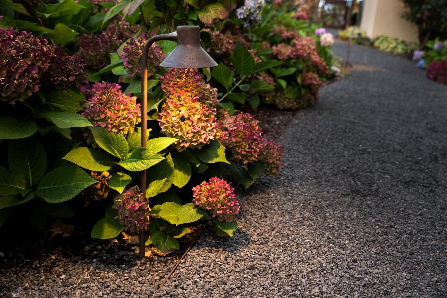 Shine landscape lighting