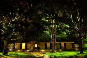 Shine Landscape Lighting Service