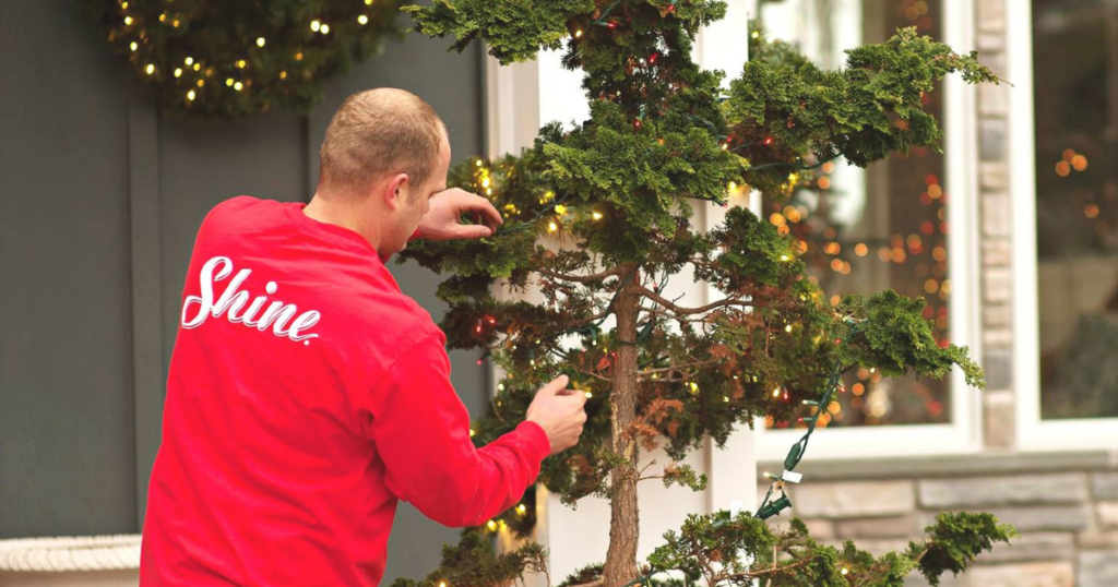 Shine Christmas Lighting being Installed on a tree