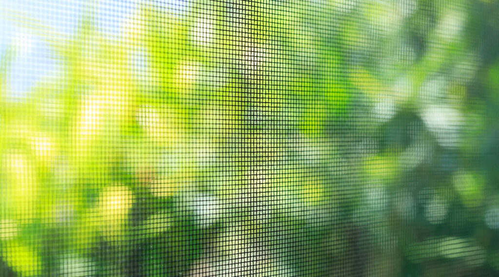 window cleaning services