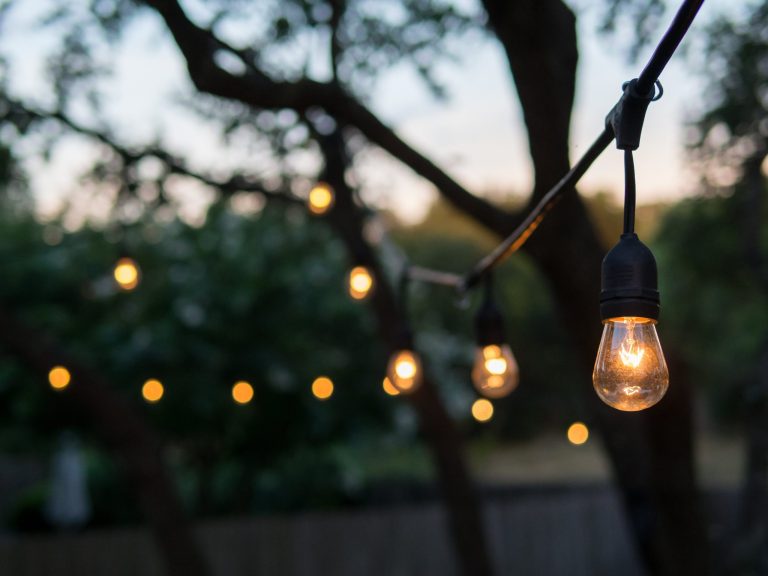 string of lights connected to tree at sunset.