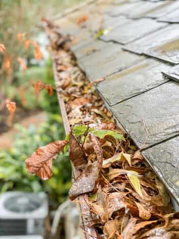 A house gutter is completely clogged with dry autumn leaves and debris next to a shingled