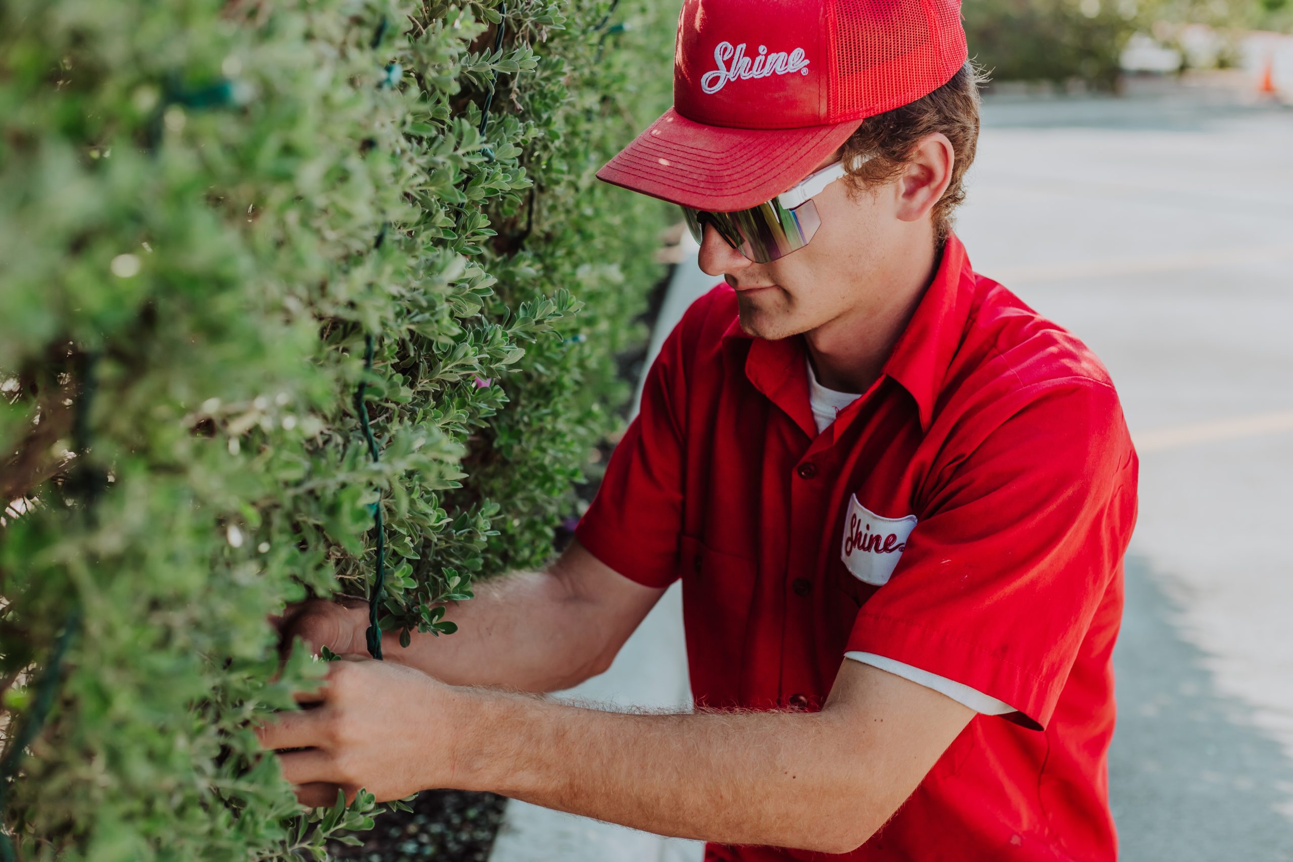 A worker in a red uniform and safety glasses meticulously trims a green hedge outdoors.