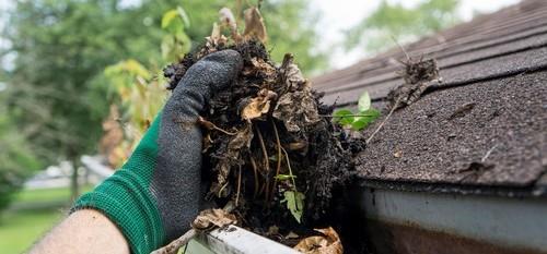 A gloved hand pulls a large clump of wet leaves and debris from a clogged