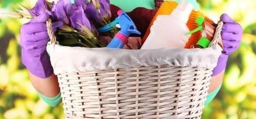A wicker basket filled with cleaning supplies and purple cloths is held by hands in purple gloves.